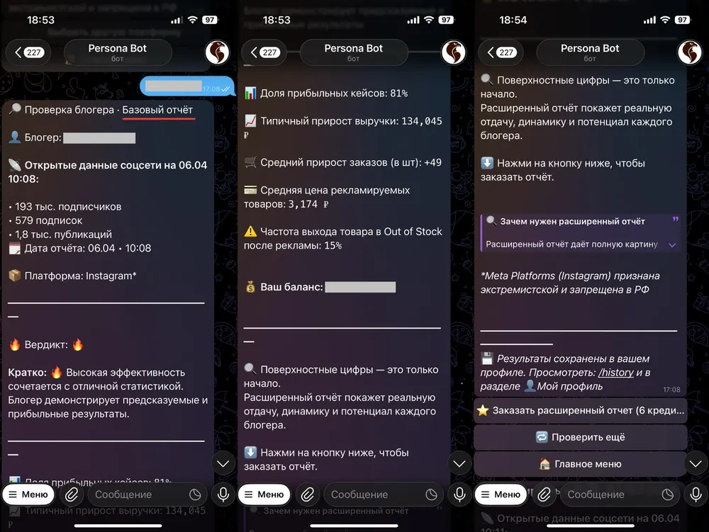 Скриншот отчёта Persona